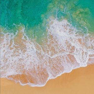 Meet your Posher, Queen